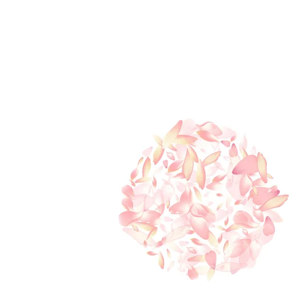 Rosa Sakura Petal Vector Branco Fundo Pétala Cereja Piso Transparente — Fotografia de Stock