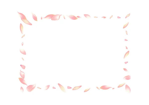 Peach Petal Vector Transparent Fond Blanc Fleur Japonaise Rose Motif — Photo