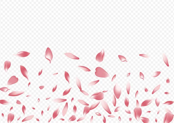 Barevný Sakura Vektor Průhledné Pozadí Lístek Krása Ilustrace Flutter Banner — Stock fotografie