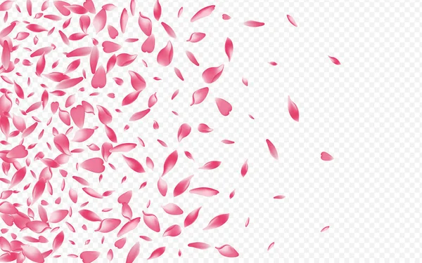 Světlé Apple Vektor Průhledné Pozadí Rosa Illustration Srdcová Valentýnka Blooming — Stock fotografie