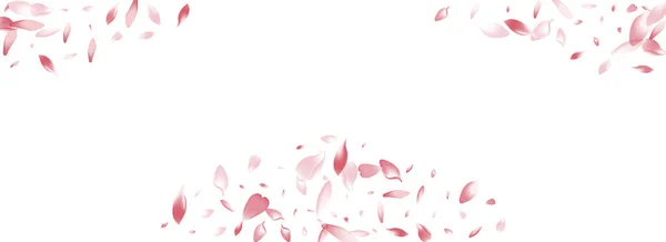 Růžová Růže Petal Vector Bílé Pozadí White Flying Cherry Petal — Stock fotografie