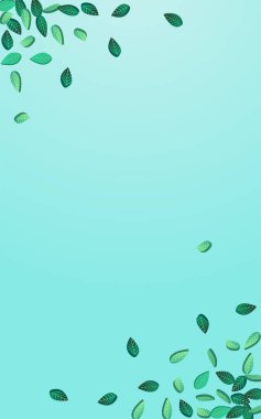 Naneli Yaprak Ekoloji Vektörü Mavi Arkaplan. Fly Leaves Duvar Kağıdı. Bataklık Yeşilleri Hareketi. Yeşillik Uçan Tesis.