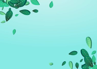 Kireç rengi Bulanık Vektör Mavi Arkaplan. Soyut Yaprak Posteri. Bataklık Yaprak Ekoloji Fabrikası. Yeşiller Taze Şablon.