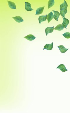 Yeşil Yaprak Ekoloji Vektörü Yeşil Arkaplan Duvar Kağıdı. Doğa Broşürü Bırakıyor. Naneli Yeşil Rüzgar Tasarımı. Yaprak Sineği ResimleriComment.