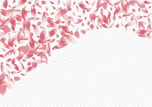 Röd Blomma Vektor Transparent Bakgrund Bladromantisk Banner Petalfritt Mönster Sakura — Stockfoto