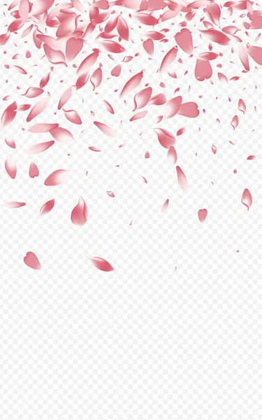 Red Leaf Vector Fundo Transparente Padrão Apple Spring Rosa Japan — Fotografia de Stock