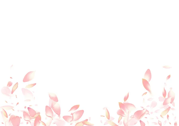 Pink Rose Petal Vector White Background Кольорова Весна Sakura Petal — стокове фото