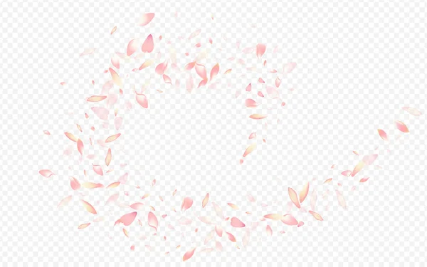 Rode Sakura Vector Transparante Achtergrond Rose Moeder Felicitatie Leaf Tender — Stockfoto