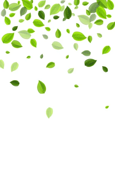 Green Green Motion Vector Design Ecologia Deixa Fronteira Floresta Foliage — Fotografia de Stock