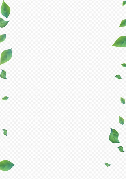 stock image Green Leaf Spring Vector Transparent Background Branch. Flying Foliage Plant. Forest Leaves Falling Banner. Greenery Fresh Poster.