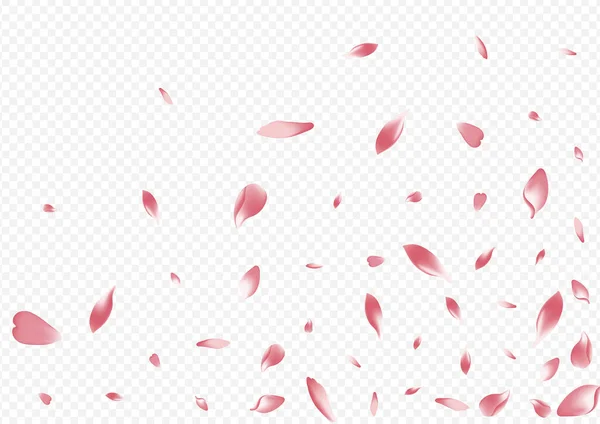 Світлове Дерево Vector Transparent Background Роза Уоллпайт Кард Дизайн Confetti — стокове фото