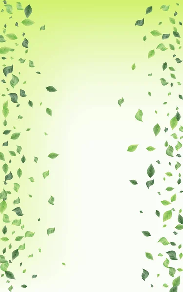 Grassy Bladeren Ecologie Vector Groene Achtergrond Poster Nature Greenery Design — Stockfoto