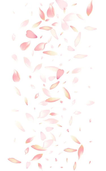 Růžová Broskvová Okvětní Lístek Vektor Bílé Pozadí Bílé Lázně Sakura — Stock fotografie
