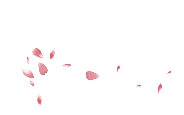 White Cherry Petal Vector White Background Пурпурна Квітка Петлею Apple — стокове фото
