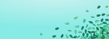 Green Foliage Organic Vector Panoramic Blue Background Backdrop. Wind Greens Design. Swamp Leaves Flying Plant. Leaf Transparent Template.