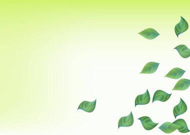 Grassy Greenery Realistic Vector Green Background Illustration. Nature Leaf Pattern. Olive Foliage Forest Template. Leaves Falling Brochure.