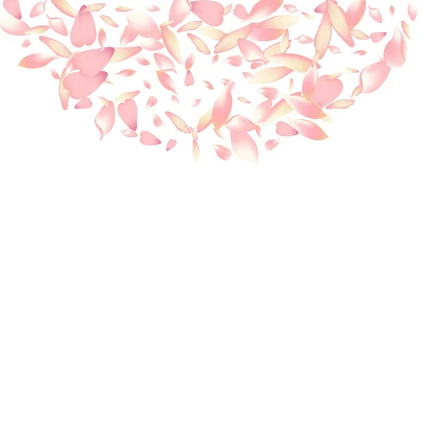 Purple Peach Petal Vector Vit Bakgrund Rosa Mjuka Sakura Petal — Stockfoto