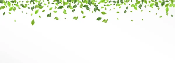 Forest Leaves Tree Vector Panoramic White Background Border Spring Foliage — 스톡 사진