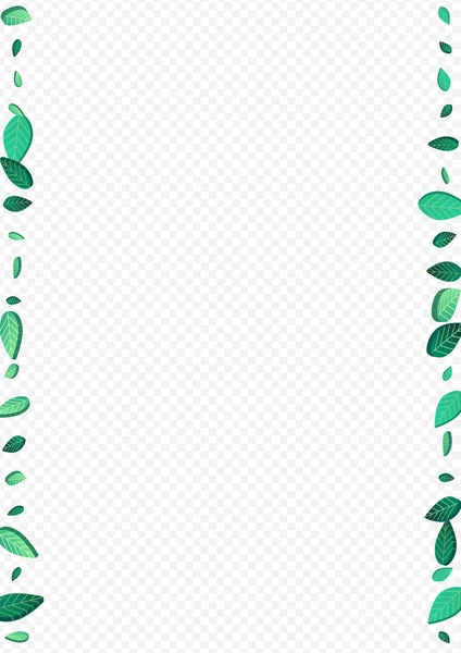 Munt Bladeren Vliegende Vector Transparante Achtergrond Grens Motion Foliage Illustratie — Stockfoto