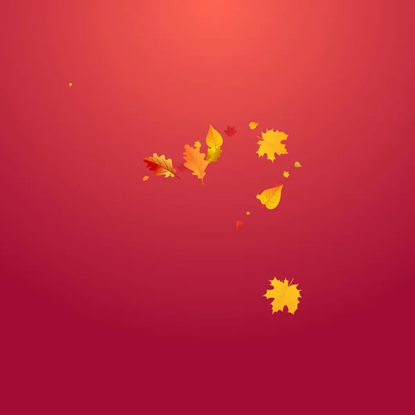 Colorful Leaf Vector Red Background Forest Leaves Template Yellow Realistic — Φωτογραφία Αρχείου
