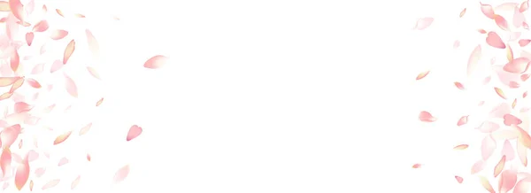 Фиолетовый Сакура Петальный Вектор Панорамный Фон Шаблон Белых Современных Лепестков — стоковое фото