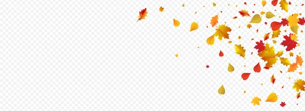 Red Plant Vector Panoramic Transparent Background November Leaves Design Yellow — Stockfoto