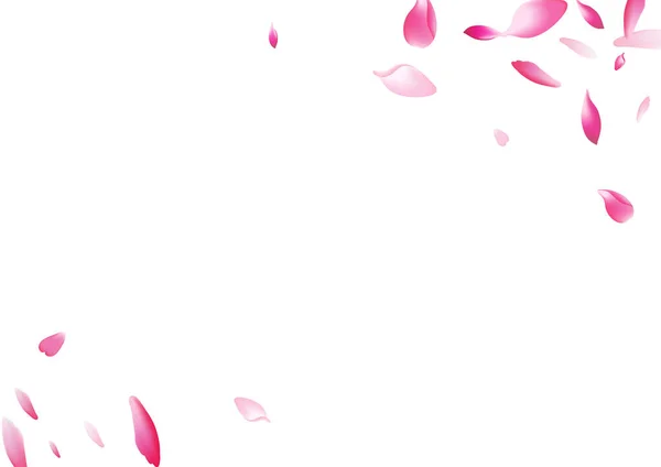 Колір Сакура Петал Вектор Білий Фон Фіолетовий Свіжий Вишневий Каркас — стокове фото