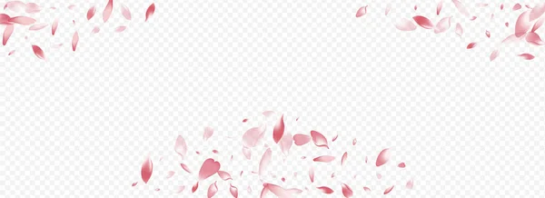Fondo Transparente Panorámico Vectorial Rosa Floreciente Banner Viento Confetti Hoja —  Fotos de Stock