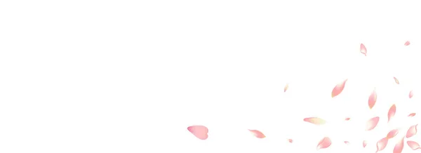 Векторний Панорамний Фон Пелюсток Білого Яблука Пастельна Безкоштовна Вишнева Пелюстка — стокове фото