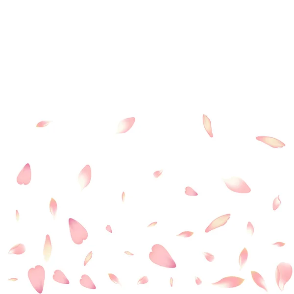 Purple Flower Petal Vector White Background Pink Romantic Cherry Petal — Stock fotografie