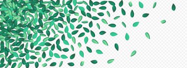 Yeşil Kireç Rüzgâr Vektörü Panoramik Şeffaf Arkaplan Kalıbı. Ağaç Yaprağı Arkaplanı. Yeşil Yapraklar Ekoloji Posteri. Yaprak Hareketi Duvar Kağıdı.