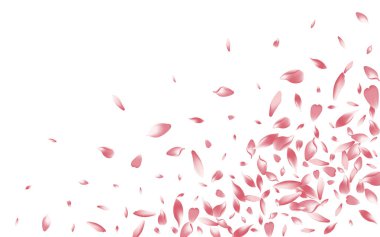 Renkli Şeftali Yaprağı Vektörü Beyaz Arkaplan. Pembe Japon kiraz yaprağı şablonu. Lotus Petal Modern Sancak. Düşen Elma Yaprağı Çerçevesi.