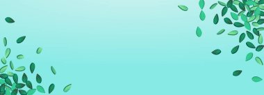 Yeşil Yaprak Rüzgâr Vektörü Panoramik Mavi Arkaplan Broşürü. Ağaç Yaprakları Tasarımı. Çimenli Yeşiller Çay Şubesi. Yaprak Gerçekçi Sancak.