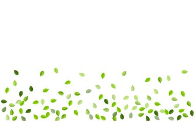 Zeytin Yeşilleri Ekoloji Vektörü İllüstrasyonu. Bitkisel Yaprak Duvar Kağıdı. Kireç Yaprağı Rüzgarı Arkaplanı. Orman Konsepti Gidiyor.