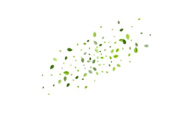 Çimenli Yapraksı Doğa Vektör Deseni. Organik Yaprak Posteri. Limon yeşili Bahar Duvar Kağıdı. Uçan Arkaplan Yaprakları.