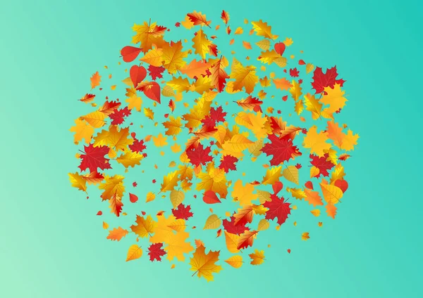 Ocher Leaf Vector Blue Background Ground Foliage Template Autumnal Decor — Stock Photo, Image