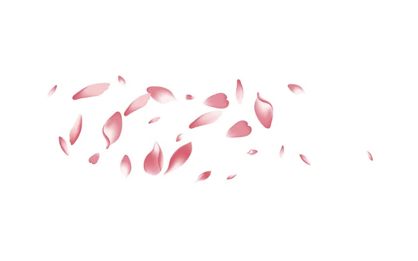 Roze Sakura Petal Vector Witte Achtergrond Transparante Delicate Apple Petal — Stockfoto