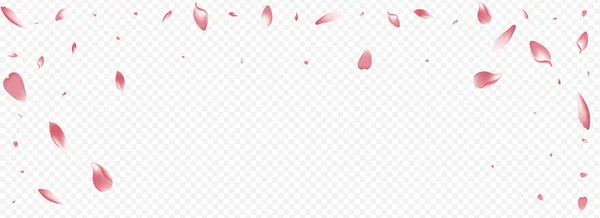 Leichtes Rosa Vector Panorama Transparenter Hintergrund Blätterfrühlingskarte Baumfällarbeiten Peach Blow — Stockfoto