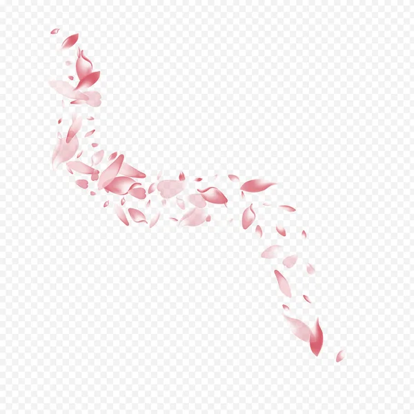 White Confetti Vector Transparenter Hintergrund Sakura Rain Design Pfirsichgrafisches Banner — Stockfoto