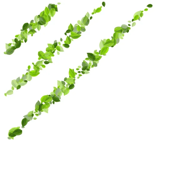 Green Greens Tea Vector Plant Nature Leaves Design Grassy Leaf — Stock Photo, Image