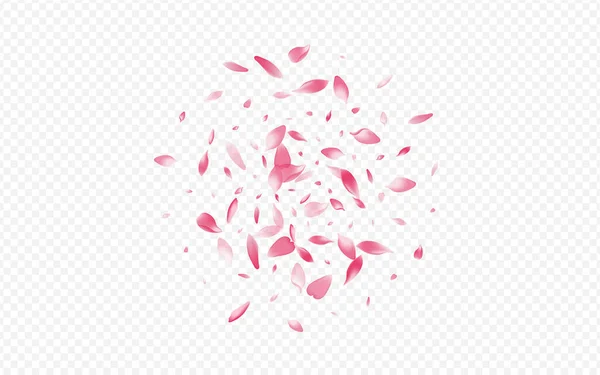 Color Petal Vector Transparent Background Floral Blow Texture Дизайн Матерів — стокове фото