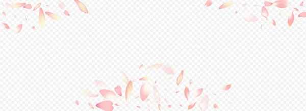 Röd Apple Vector Panoramic Transparent Bakgrund Blooming Blur Gratulerar Blossom — Stockfoto