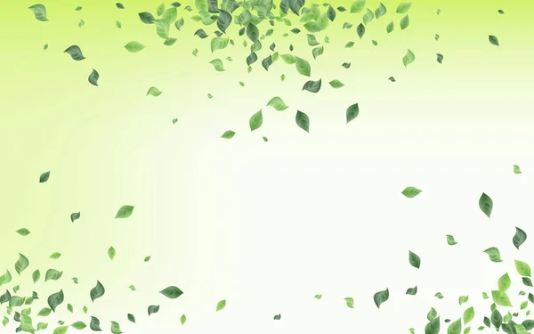 Folheto Fundo Verde Vetorial Abstrato Vegetação Pastosa Padrão Folha Borrão — Fotografia de Stock