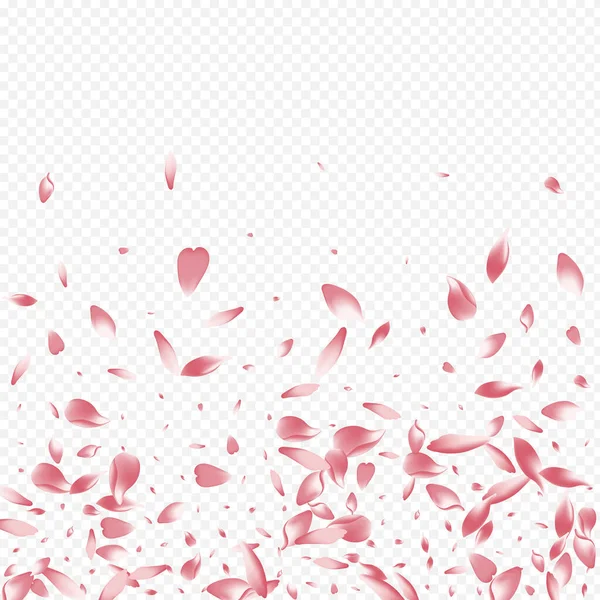Bright Blooming Vector Transparent Background Підпільний Плакат Дерево Тендер Постер — стокове фото