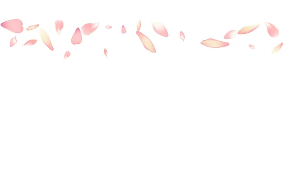紫莲花瓣白色背景 粉红墙纸桃花海报 苹果花瓣现实条幅 浪漫的玫瑰花瓣框架 — 图库照片