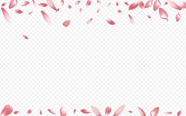 Purple Confetti Vector Fondo Transparente Plantilla Blossom Free Bloom Springtime —  Fotos de Stock