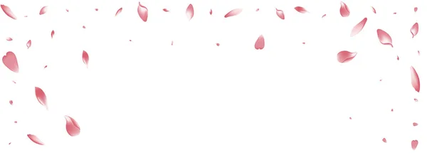 Fialové Apple Petal Vector Bílé Pozadí Transparentní Pozvánka Květní Lístek — Stock fotografie