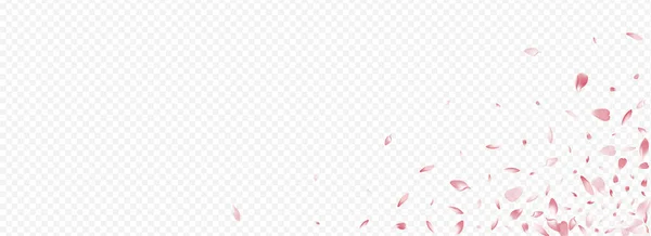 Pink Petal Vector Panorama Transparenter Hintergrund Cherry Japanese Template Vorhanden — Stockfoto