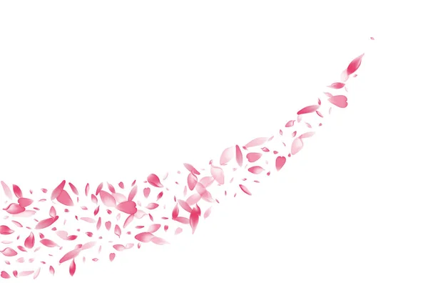 Farbe Apple Petal Vector Weißer Hintergrund Pink Delicate Cherry Petal — Stockfoto