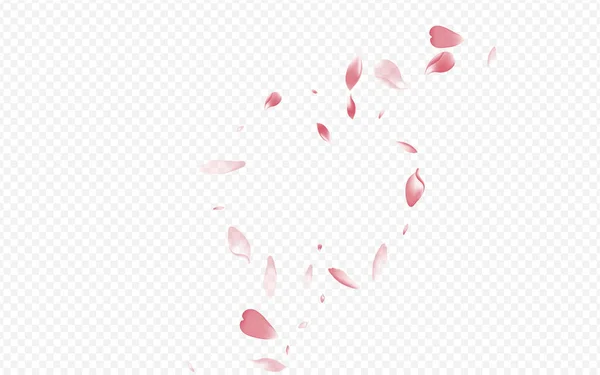 Farbe Apple Vector Transparenter Hintergrund Floral Garden Card Vorhanden Rose — Stockfoto